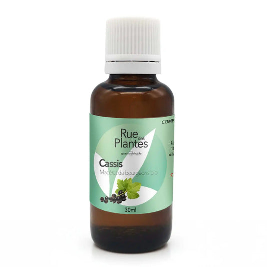 Achat Macérat de bourgeons Cassis Bio - Gemmothérapie