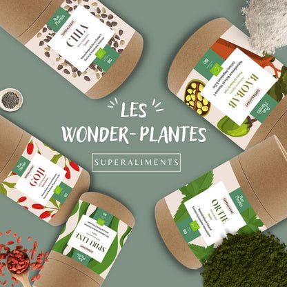 Chanvre graines bio - Wonder-Plantes Rue Des Plantes