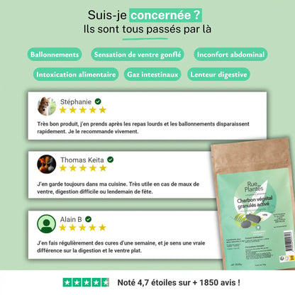 Charbon Végétal Actif Poudre