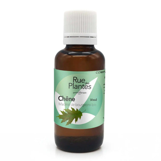 Achat Macérat de bourgeons Chêne Bio - Gemmothérapie