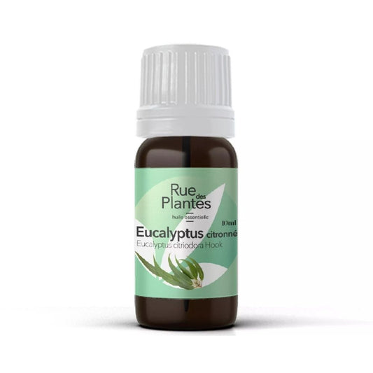 Achat Huile essentielle Eucalyptus citronné bio