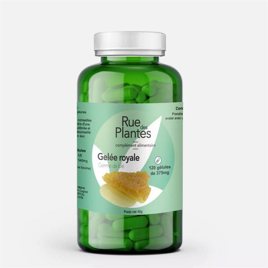 Achat Gelée royale (et germe de blé) - Rue Des Plantes