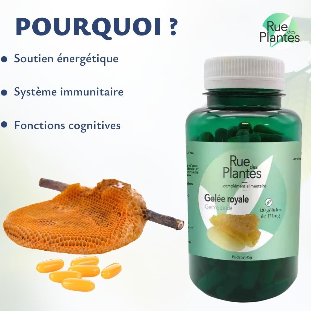 Achat Gelée royale (et germe de blé) - Rue Des Plantes