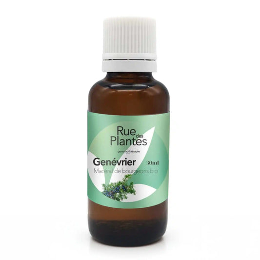 Achat Macérat de bourgeons Genévrier bio - Gemmothérapie