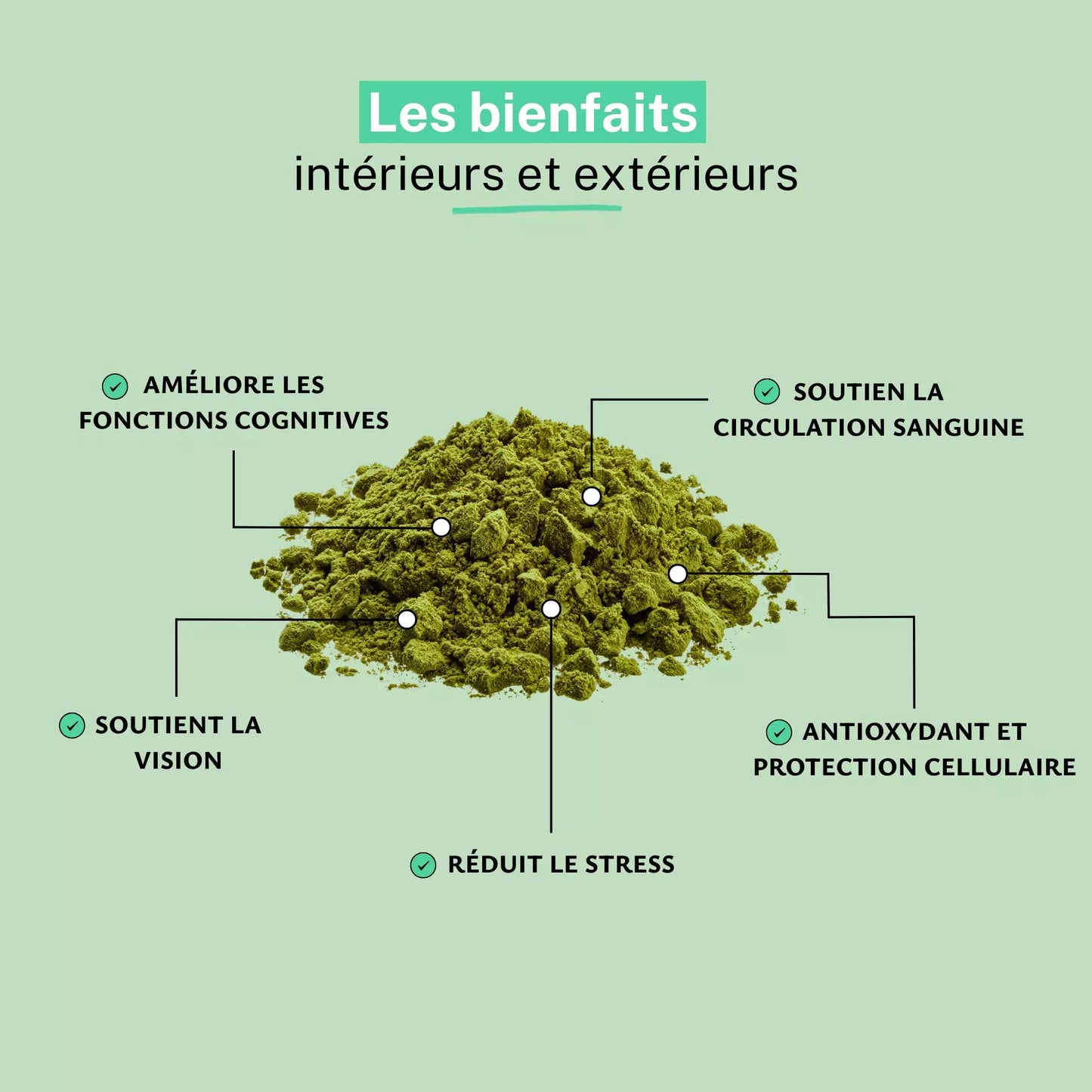 Achat Ginkgo Biloba Poudre