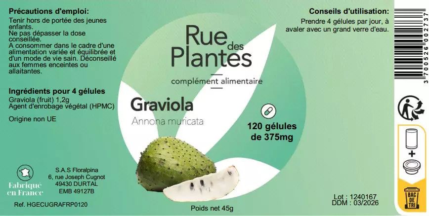Graviola Corossol (fruit) - Rue Des Plantes