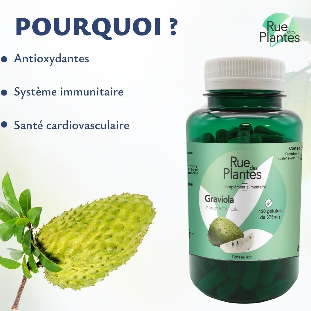 Achat Graviola Corossol (fruit) - Rue Des Plantes
