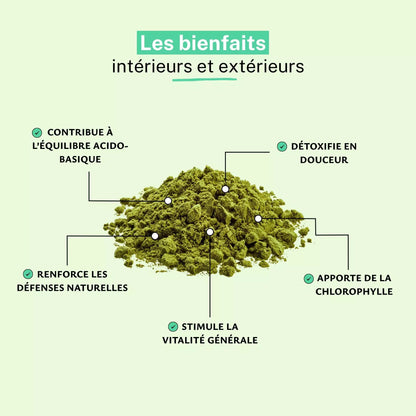 Herbe d'Orge Bio Poudre