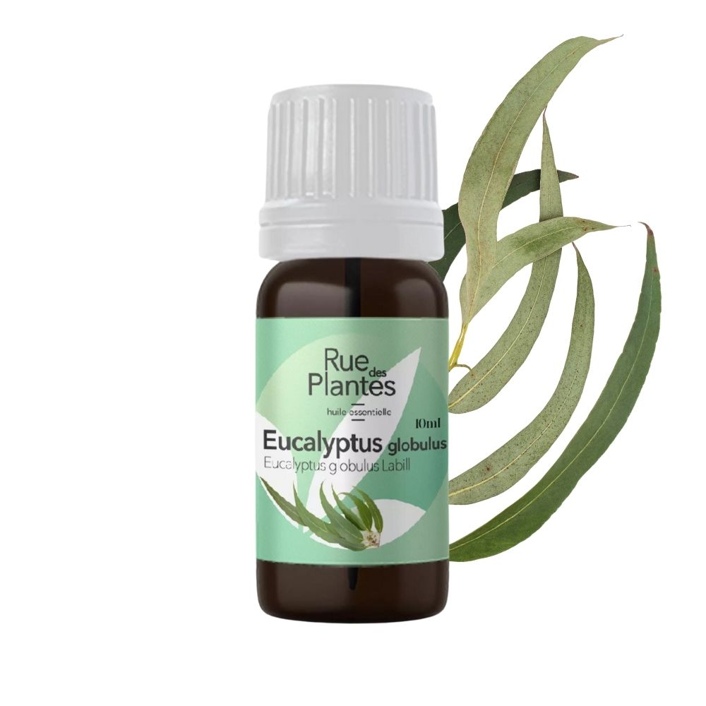Achat Huile essentielle Eucalyptus globulus bio Rue Des Plantes