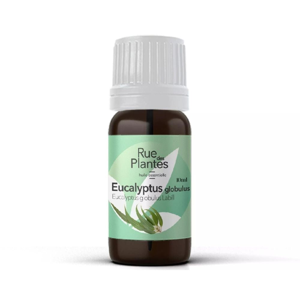 Huile essentielle Eucalyptus globulus bio Rue Des Plantes