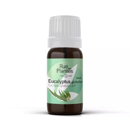 Huile essentielle Eucalyptus globulus bio Rue Des Plantes