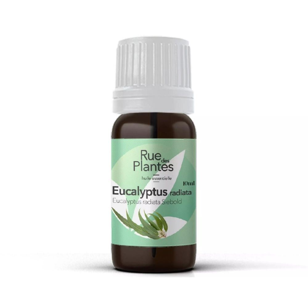 Achat Huile essentielle Eucalyptus radiata bio Rue Des Plantes