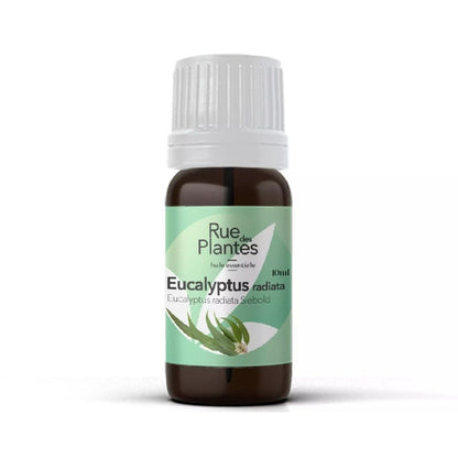 Huile essentielle Eucalyptus radiata bio Rue Des Plantes