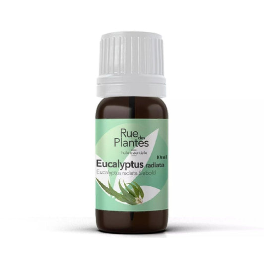 Achat Huile essentielle Eucalyptus radiata bio Rue Des Plantes