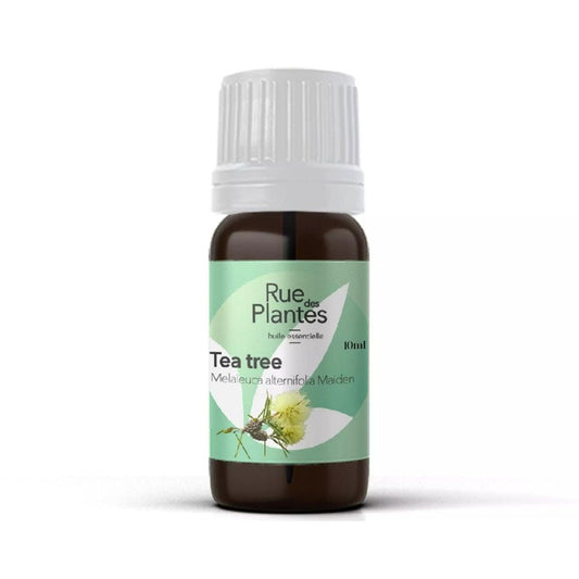 Achat Huile essentielle de tea tree bio Rue Des Plantes