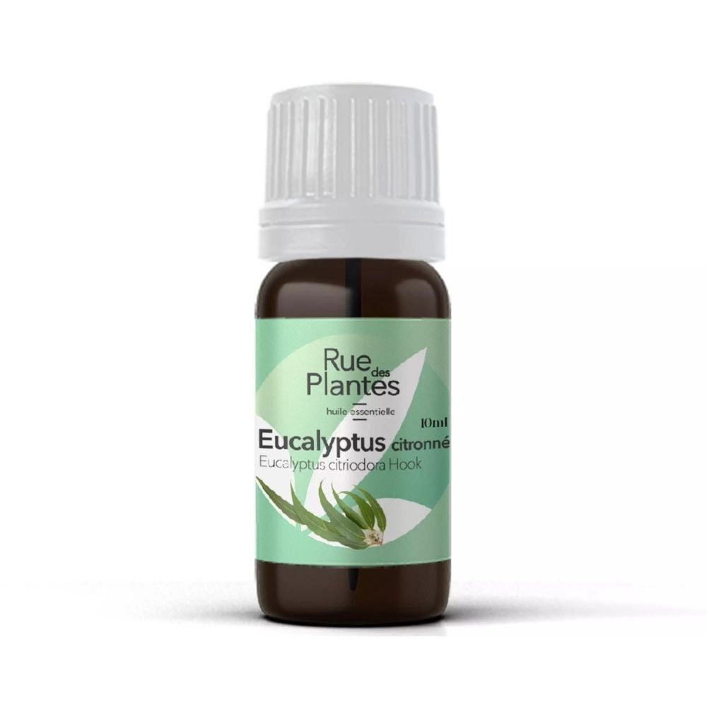 Huile essentielle Eucalyptus citronné bio - Rue Des Plantes