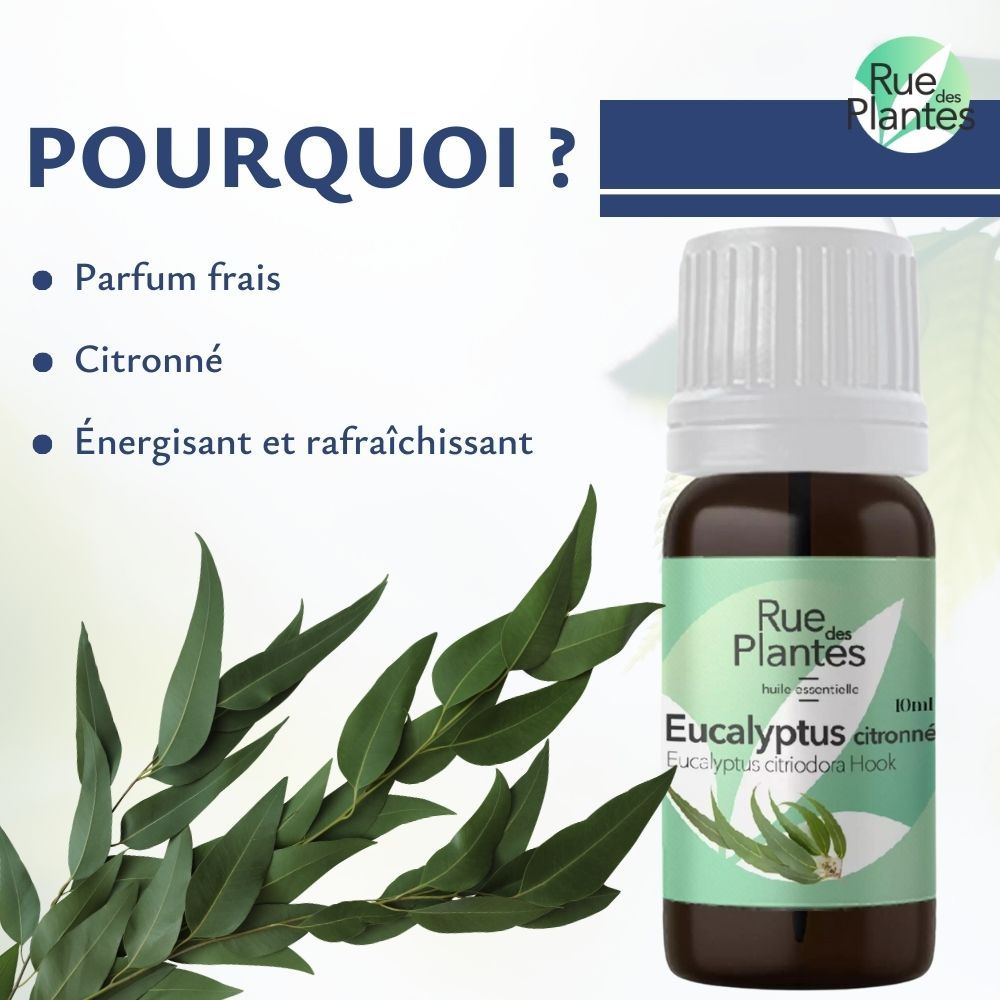 Huile essentielle Eucalyptus citronné bio - Rue Des Plantes