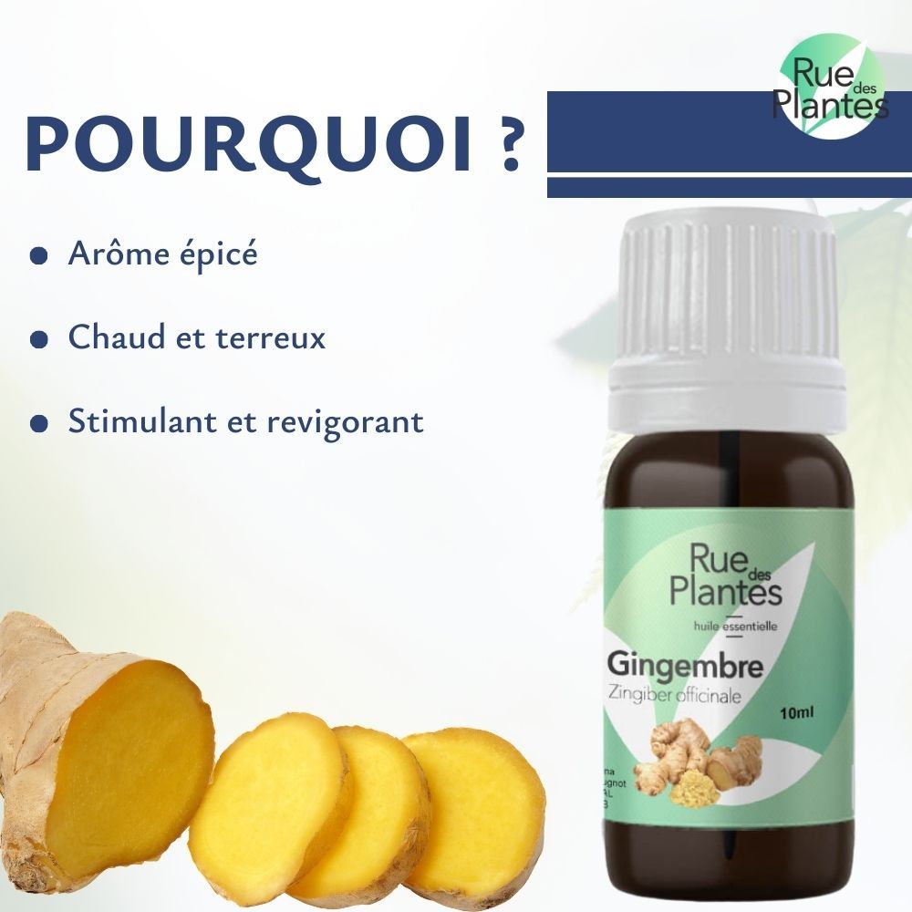 Huile essentielle de gingembre bio - Rue Des Plantes