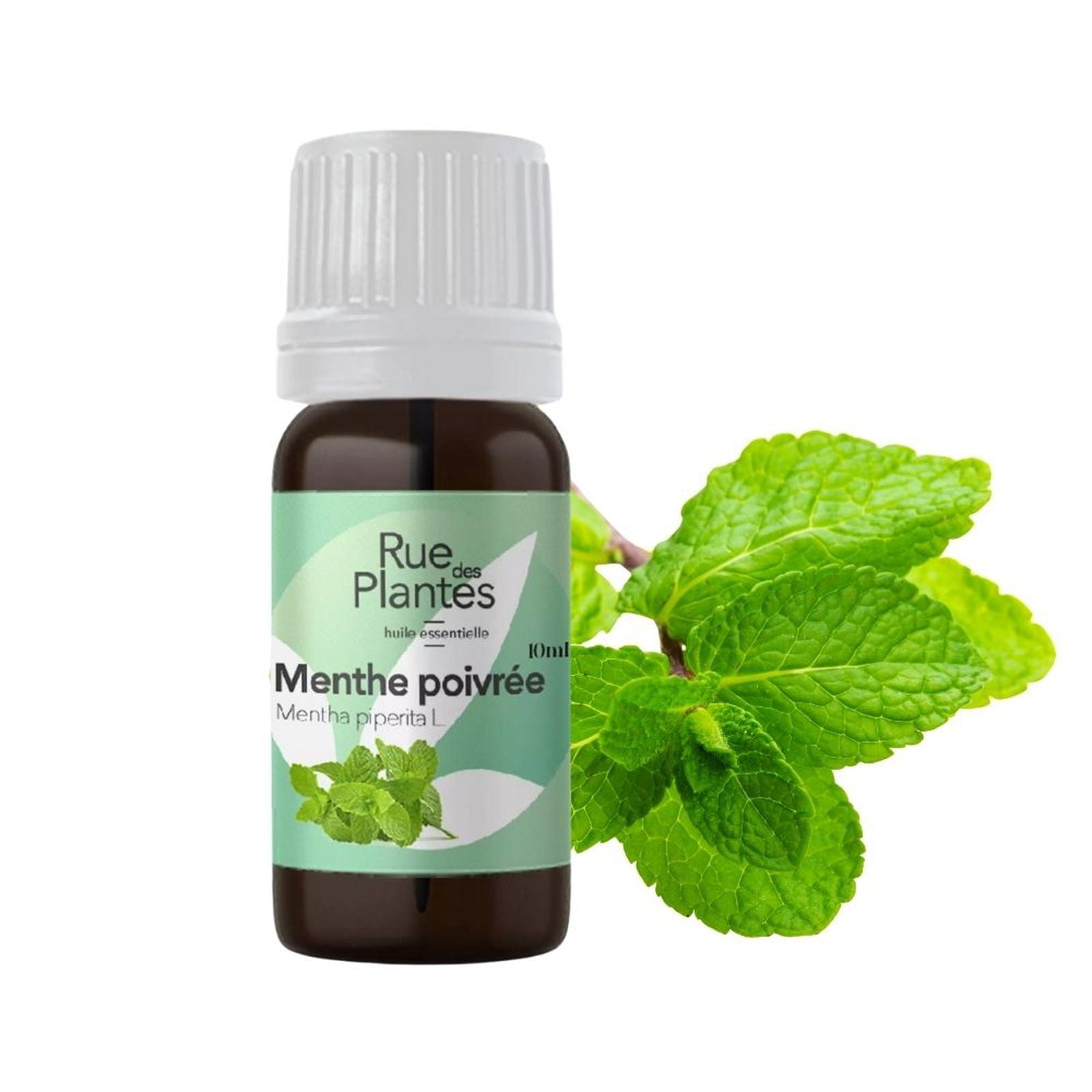 Huile essentielle de menthe poivrée bio - Rue Des Plantes