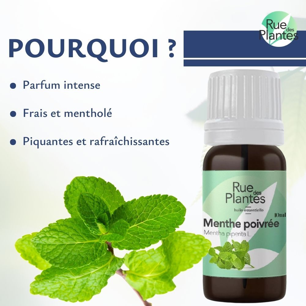 Huile essentielle de menthe poivrée bio - Rue Des Plantes