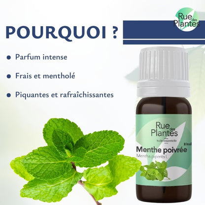 Huile essentielle de menthe poivrée bio - Rue Des Plantes