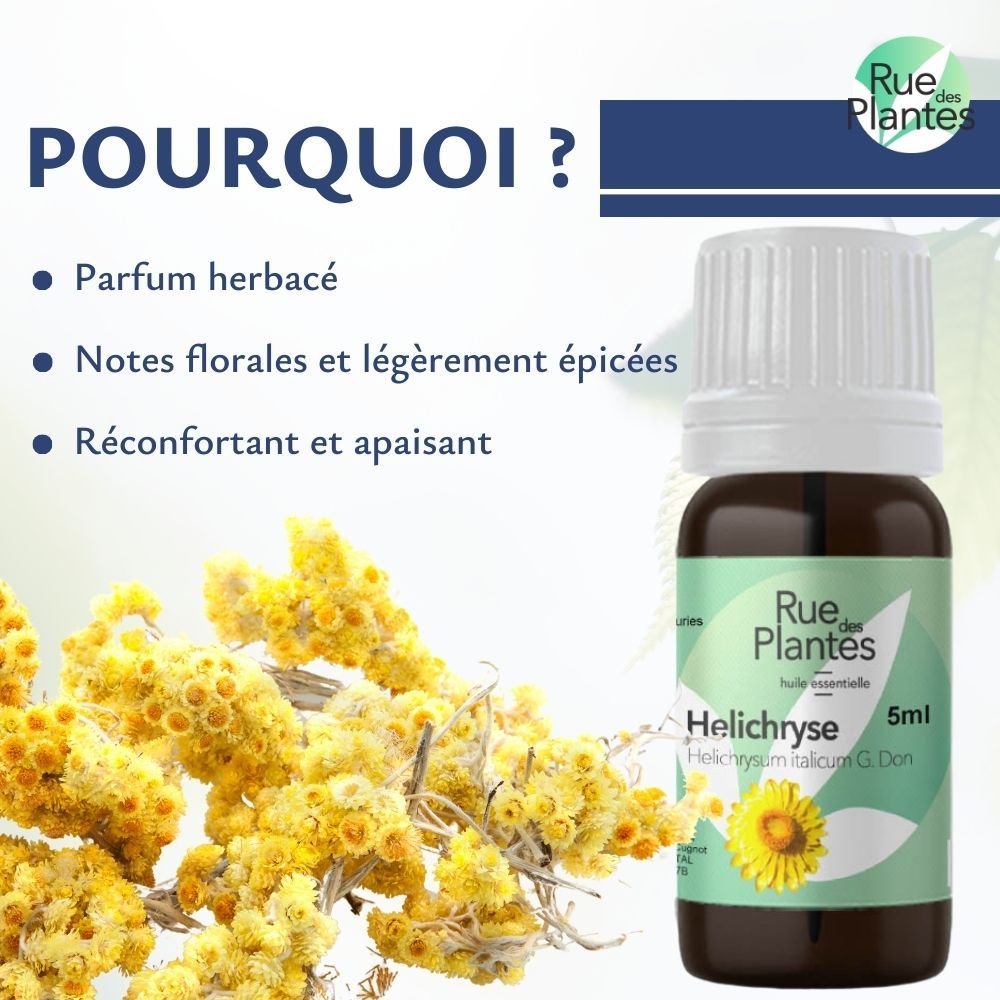 Achat Huile essentielle helychrise bio 5ml - Rue Des Plantes