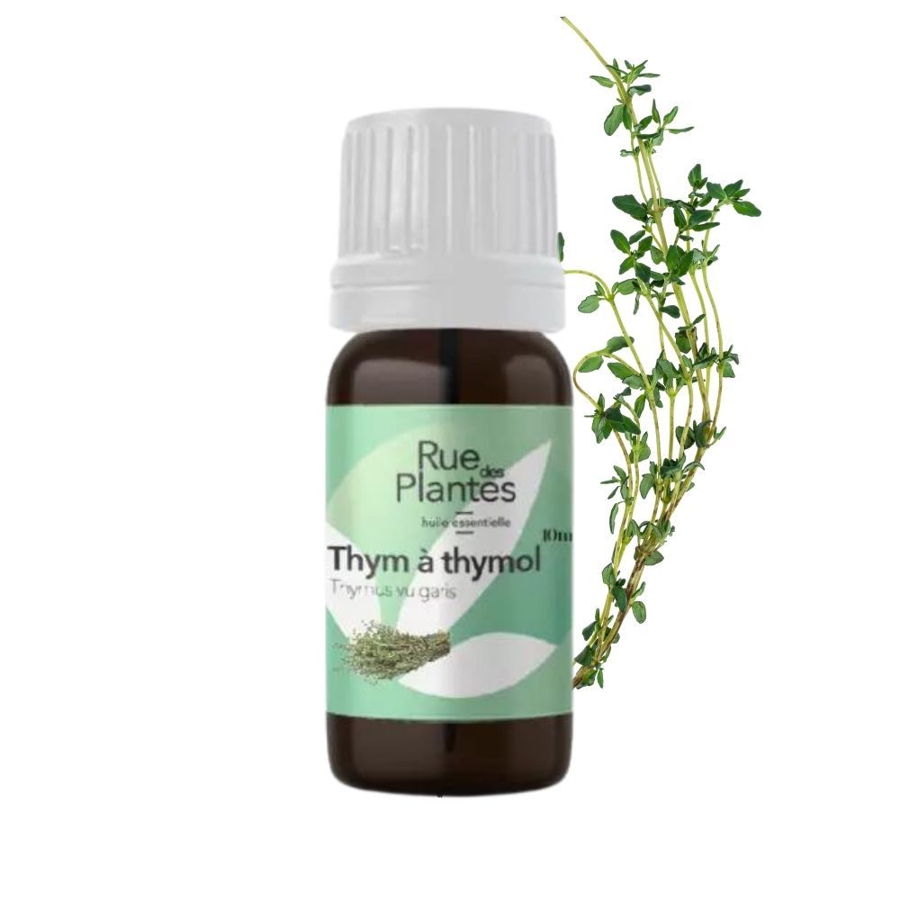 Huile essentielle thym à thymol bio - Rue Des Plantes