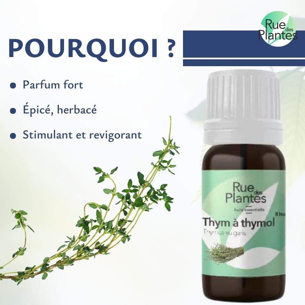 Huile essentielle thym à thymol bio - Rue Des Plantes