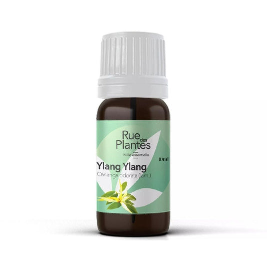 Achat Huile essentielle Ylang ylang bio - Rue Des Plantes