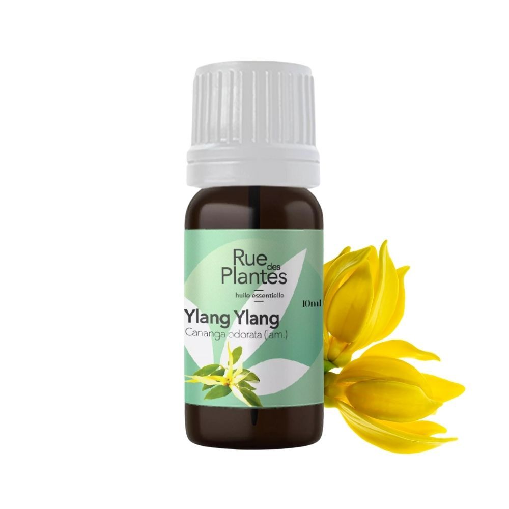 Huile essentielle Ylang ylang bio - Rue Des Plantes