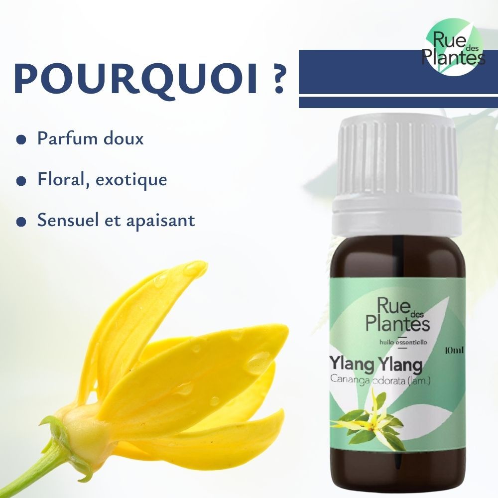 Huile essentielle Ylang ylang bio - Rue Des Plantes