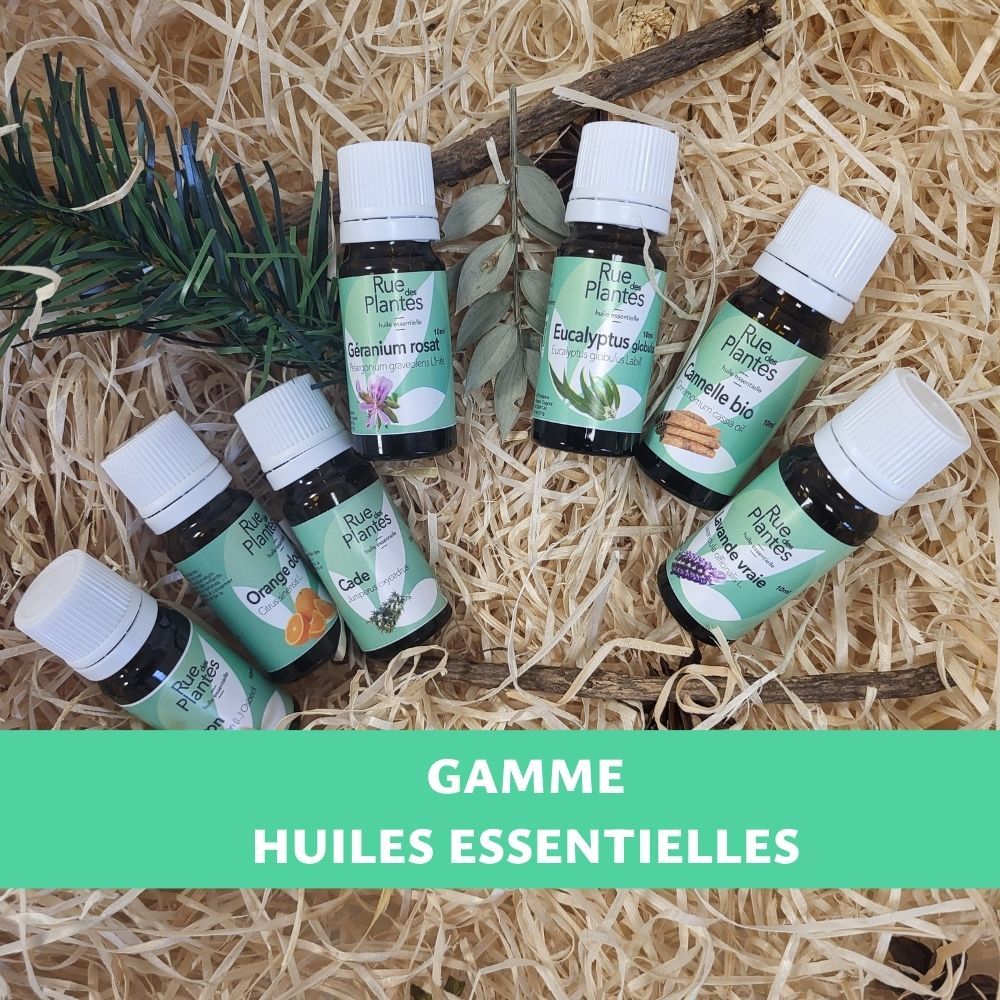 Huile essentielle Ylang ylang bio - Rue Des Plantes