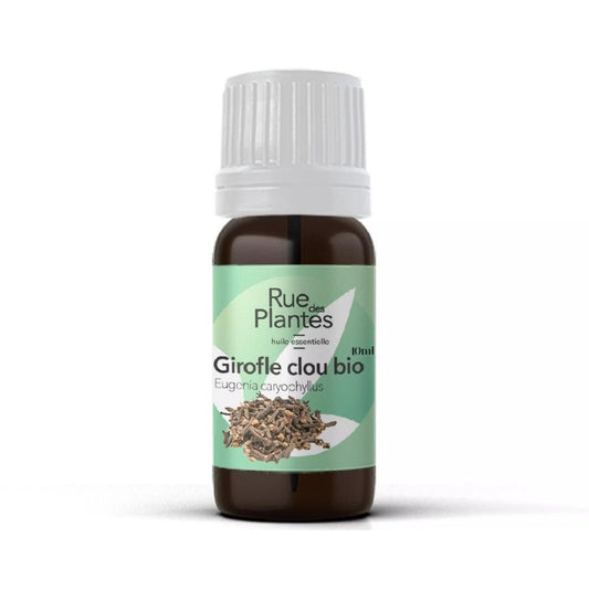 Achat Huile essentielle de clou de girofle bio - Rue Des Plantes