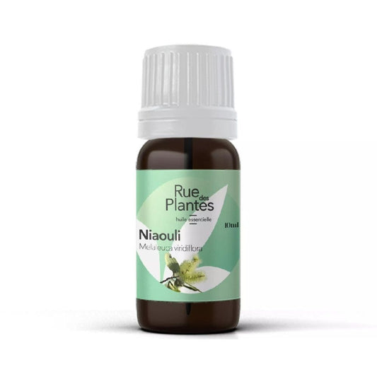 Achat Huile essentielle de niaouli bio - Rue Des Plantes