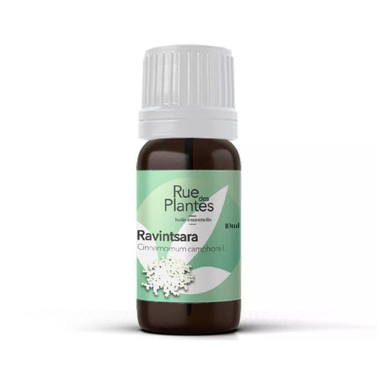 Achat Huile essentielle ravintsara bio - Rue Des Plantes