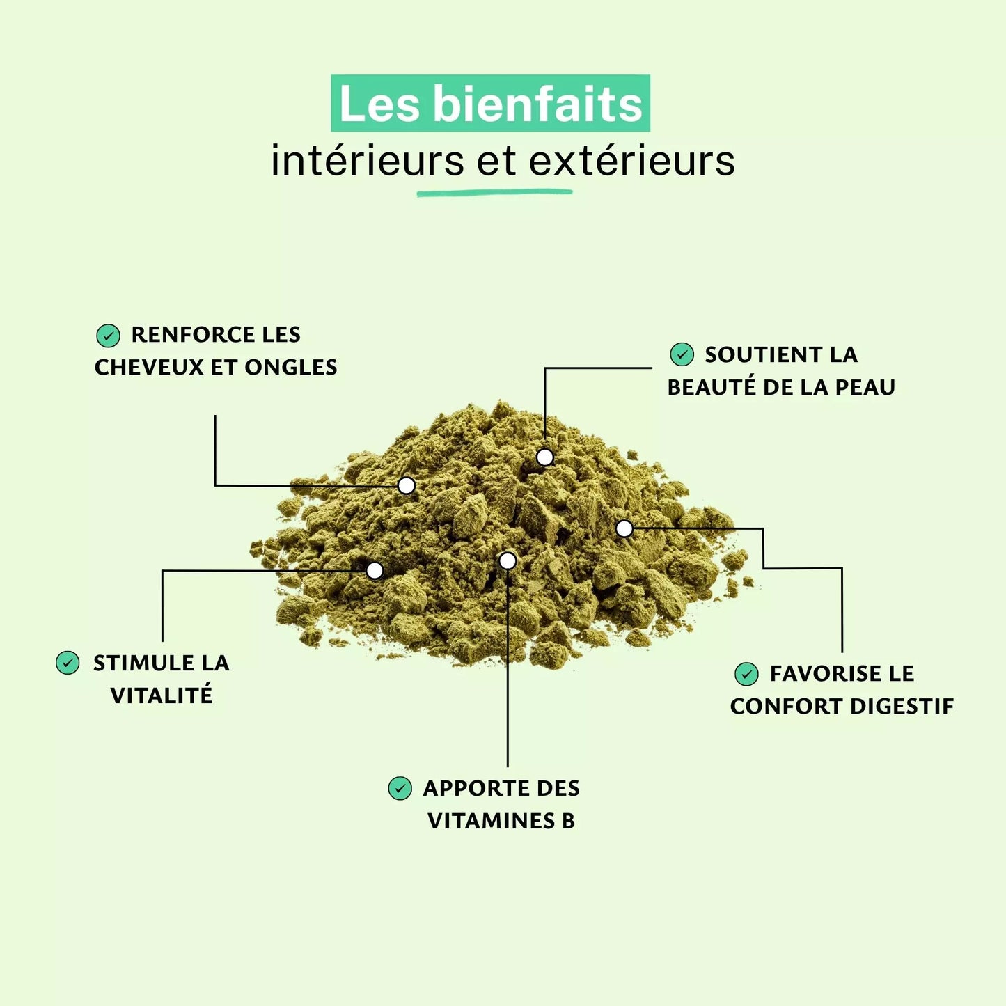 Achat Levure de Bière Bio Poudre