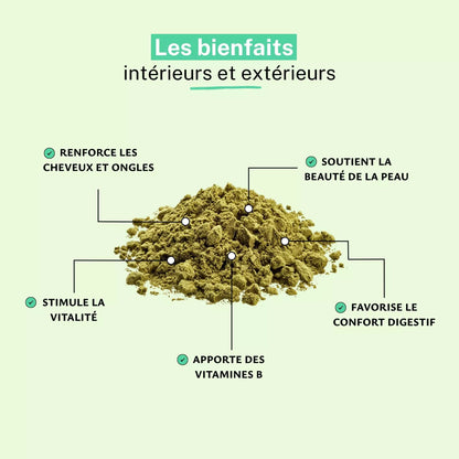 Levure de Bière Bio Poudre