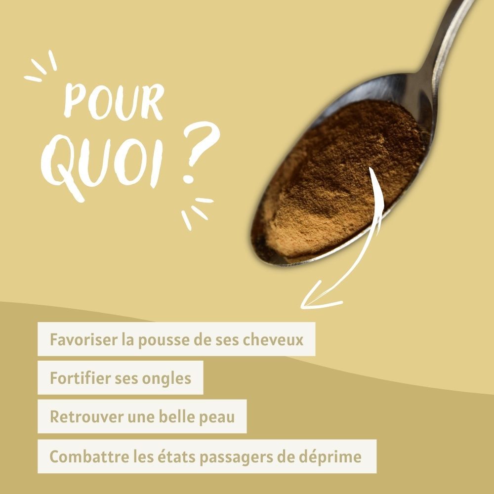 Achat Levure de bière poudre bio - Wonder-Plantes - Rue Des Plantes