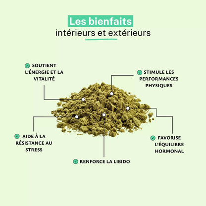 Maca BIO Poudre