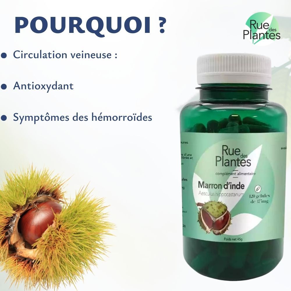 Marron d'inde - Rue Des Plantes