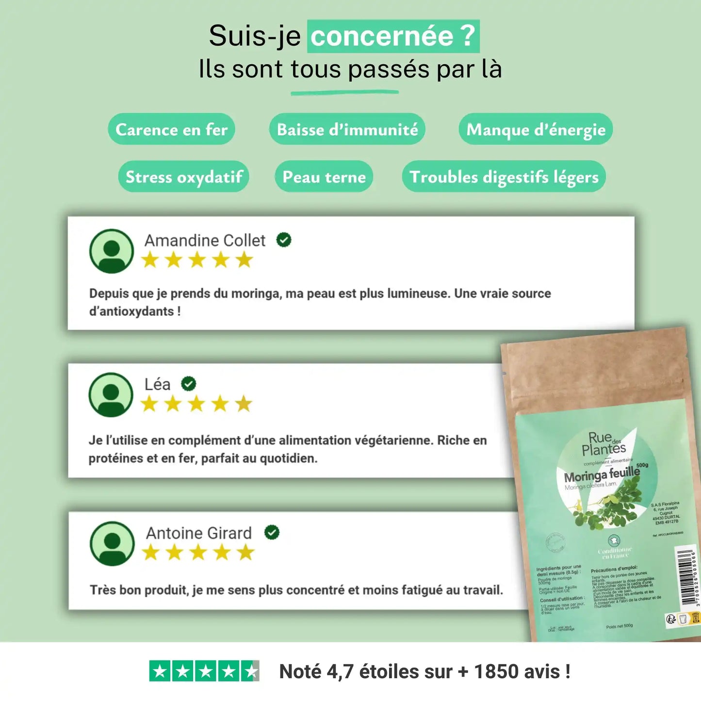 Achat Moringa Poudre