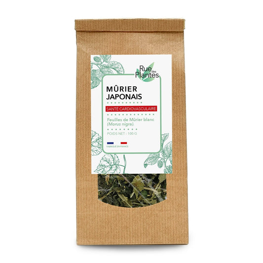 Achat Murier japonais feuilles Tisane - Rue Des Plantes