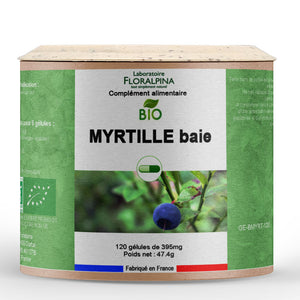 Myrtille baie bio