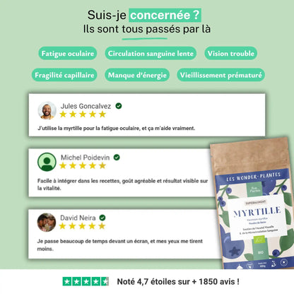 Myrtille Bio Poudre