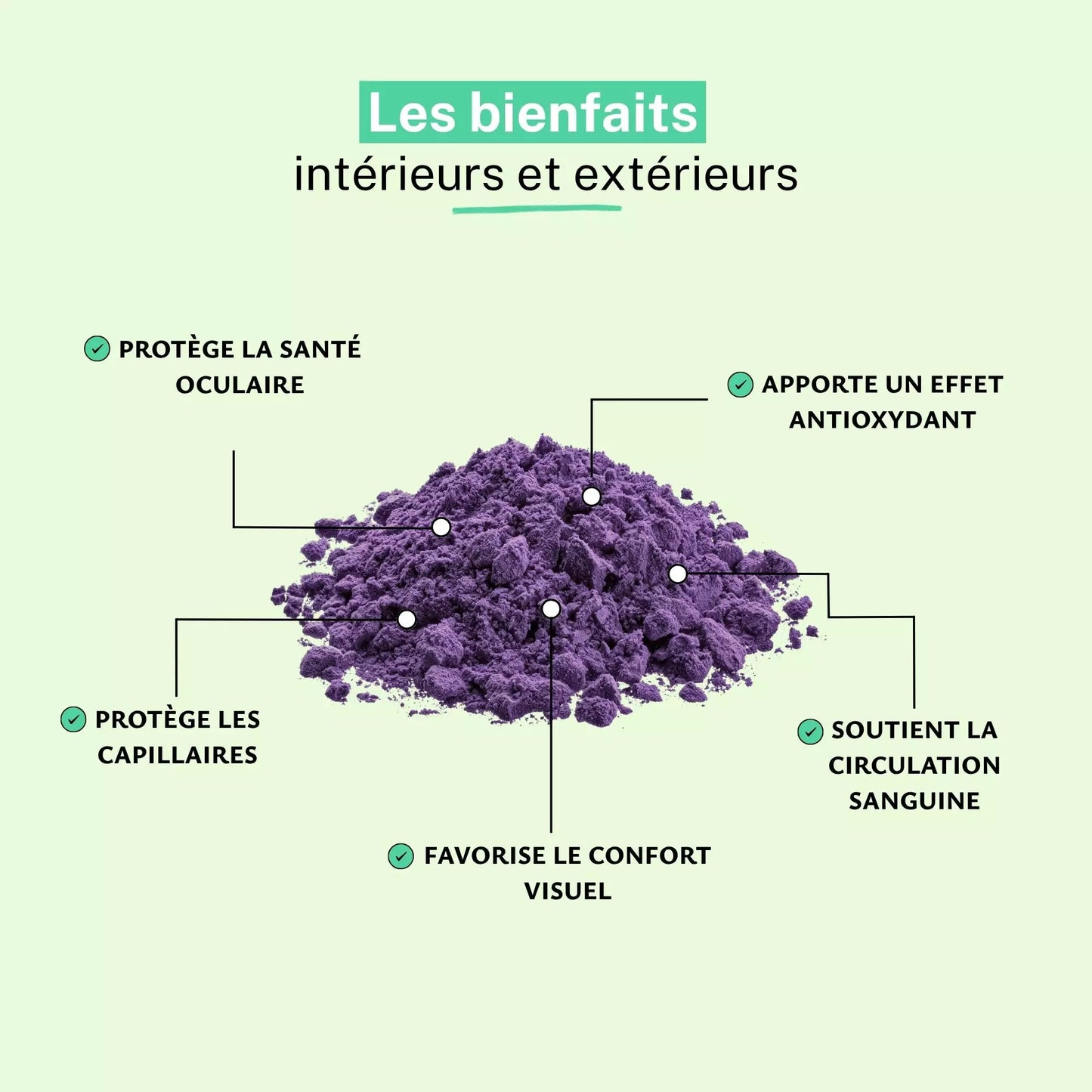 Achat Myrtille Baie Bio Poudre