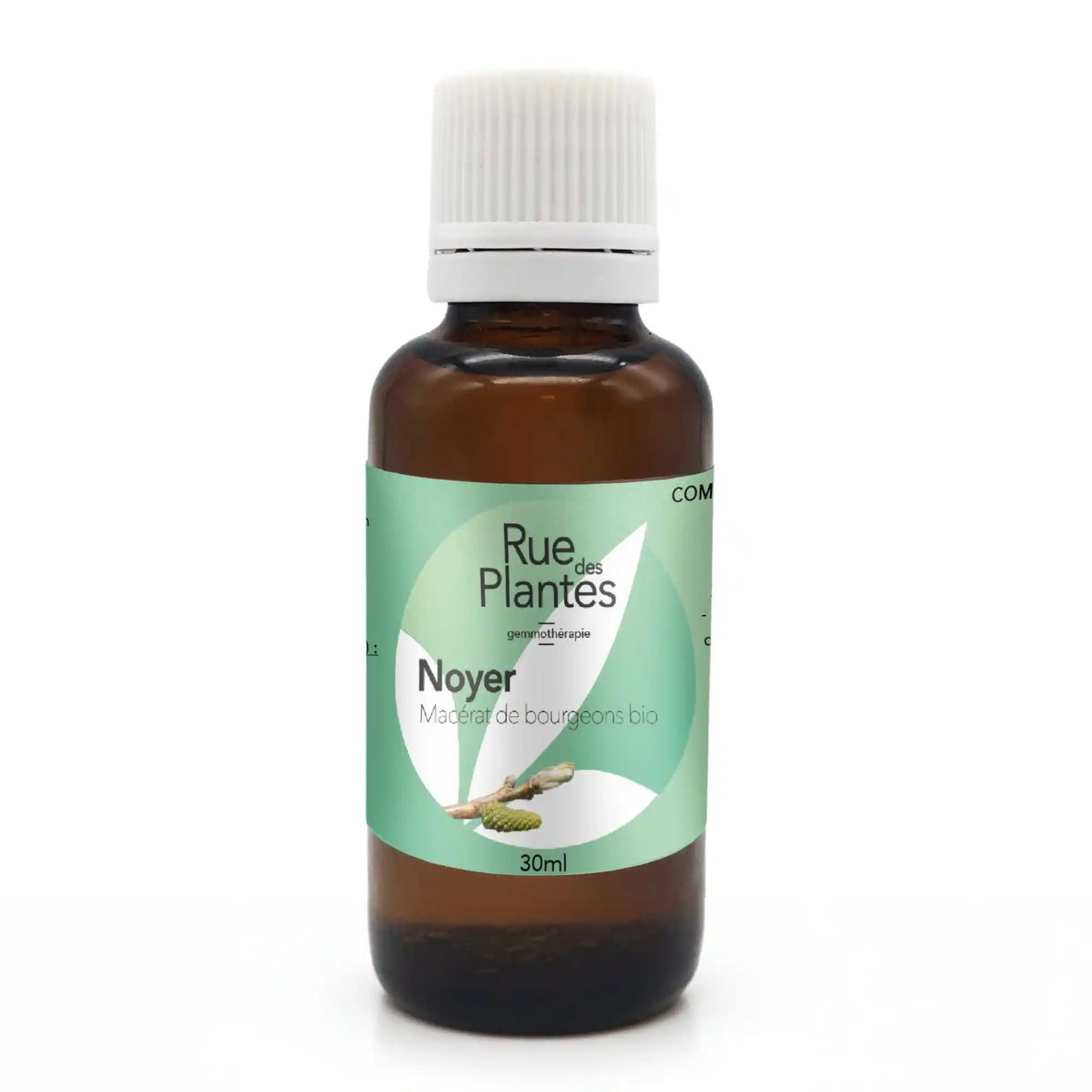 Achat Macérat de bourgeons Noyer bio - Gemmothérapie