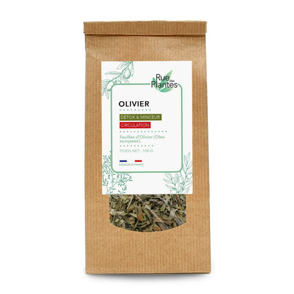 Olivier Feuilles Coupées - Tisane - Rue Des Plantes