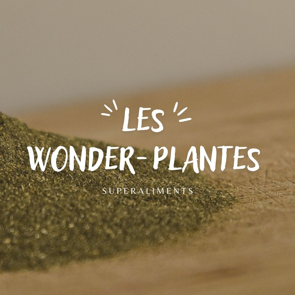 Achat Ortie piquante feuille bio - Wonder-Plantes Rue Des Plantes
