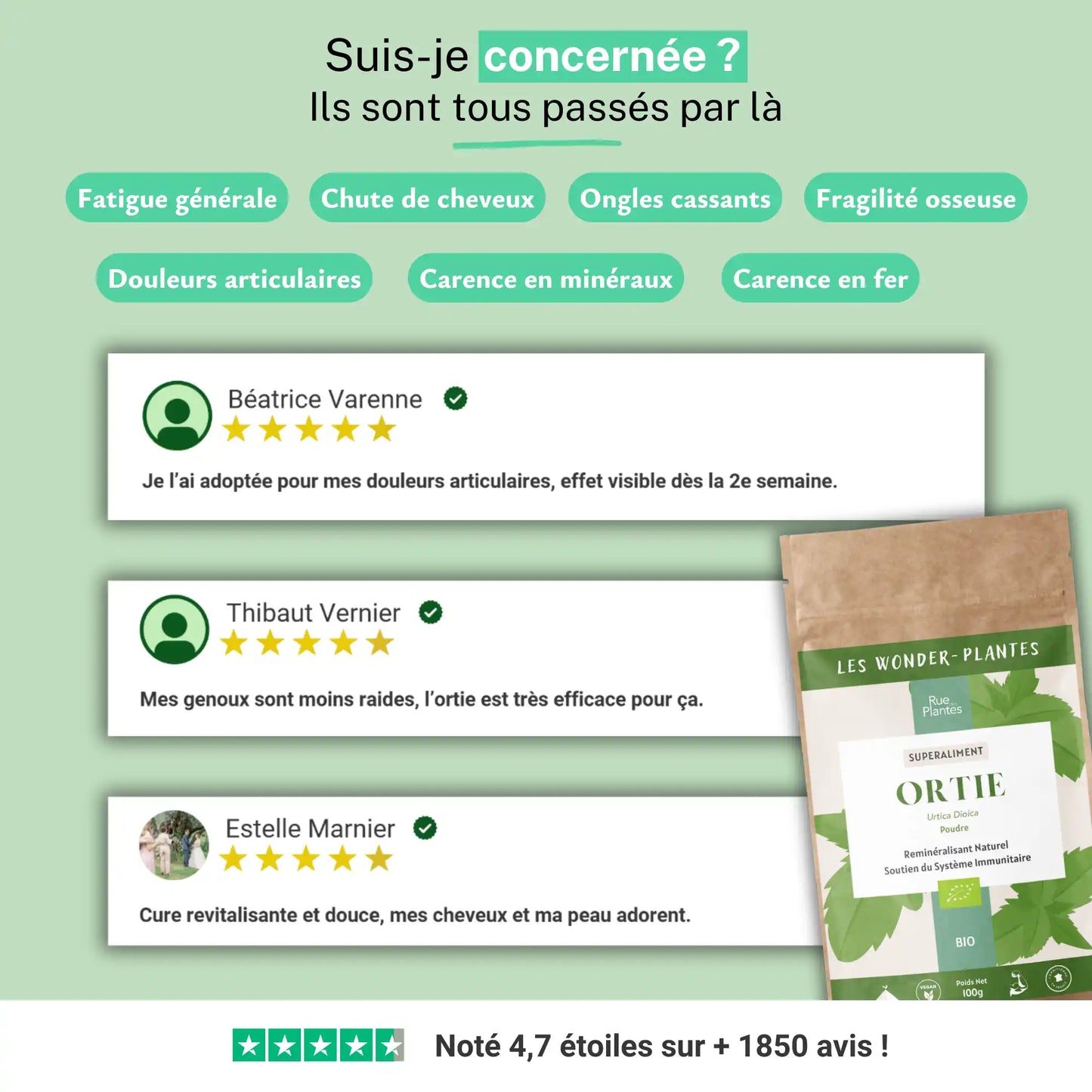 Achat Ortie Piquante Bio Poudre