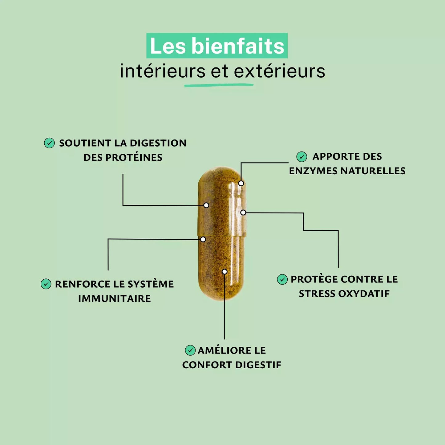Achat Papaye fermentée extrait